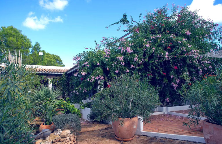 Jardines Jaramillo Formentera