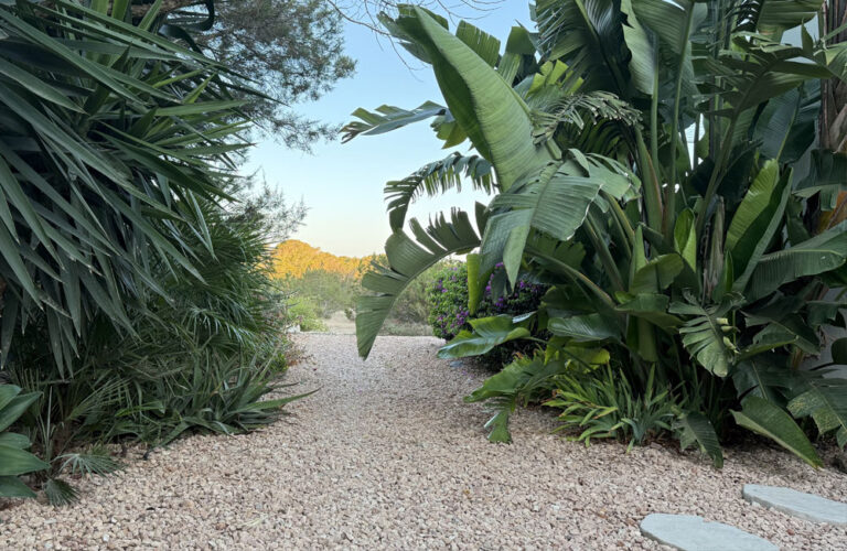 Jardines Jaramillo Formentera